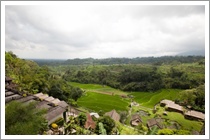Bali Pacung Rice Terraces