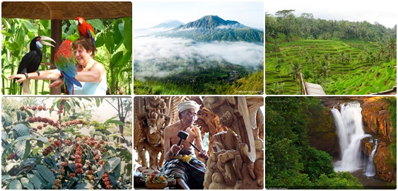 Bali Tour | Bali Trips | Bali Travel