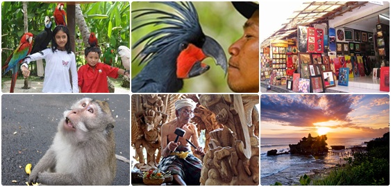Bali Bird Park and Tanah Lot Tours