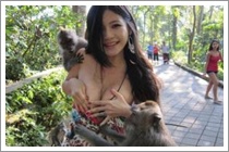 Bali Ubud Monkey Forest