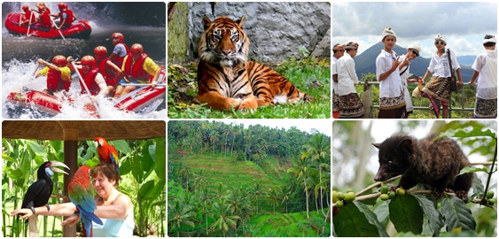 Bali Combination and Package Tours is a Tour package to explore our island of Bali combining with some adventure during your Holiday in Bali
