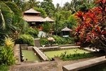 Bali Half Day Tours | Visit Tanah Lot Temple with Sunset | Star Bali Tour
