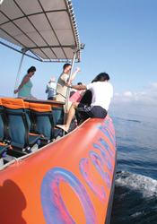 Bali Hai Cruise Tours | Star Bali Tour