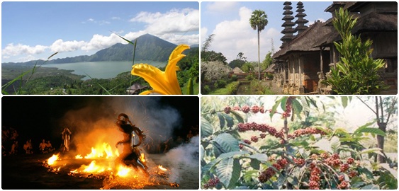 Bali Travel | Bali Tour Service | Star Bali Tour