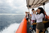 Bali Ocean Rafting Cruise | Star Bali Tour