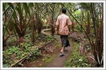 Bali Sibetan Village