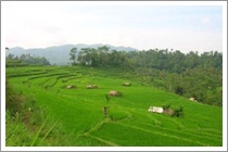 Bali Sidemen Village